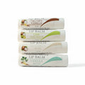 Photo of the Alta Fauna Assorted Lip Balms Bundle on a white background.  Selection includes Coconut Vanilla, Lime Coconut, Naturally Bare (unscented) and Vanilla Mint. 