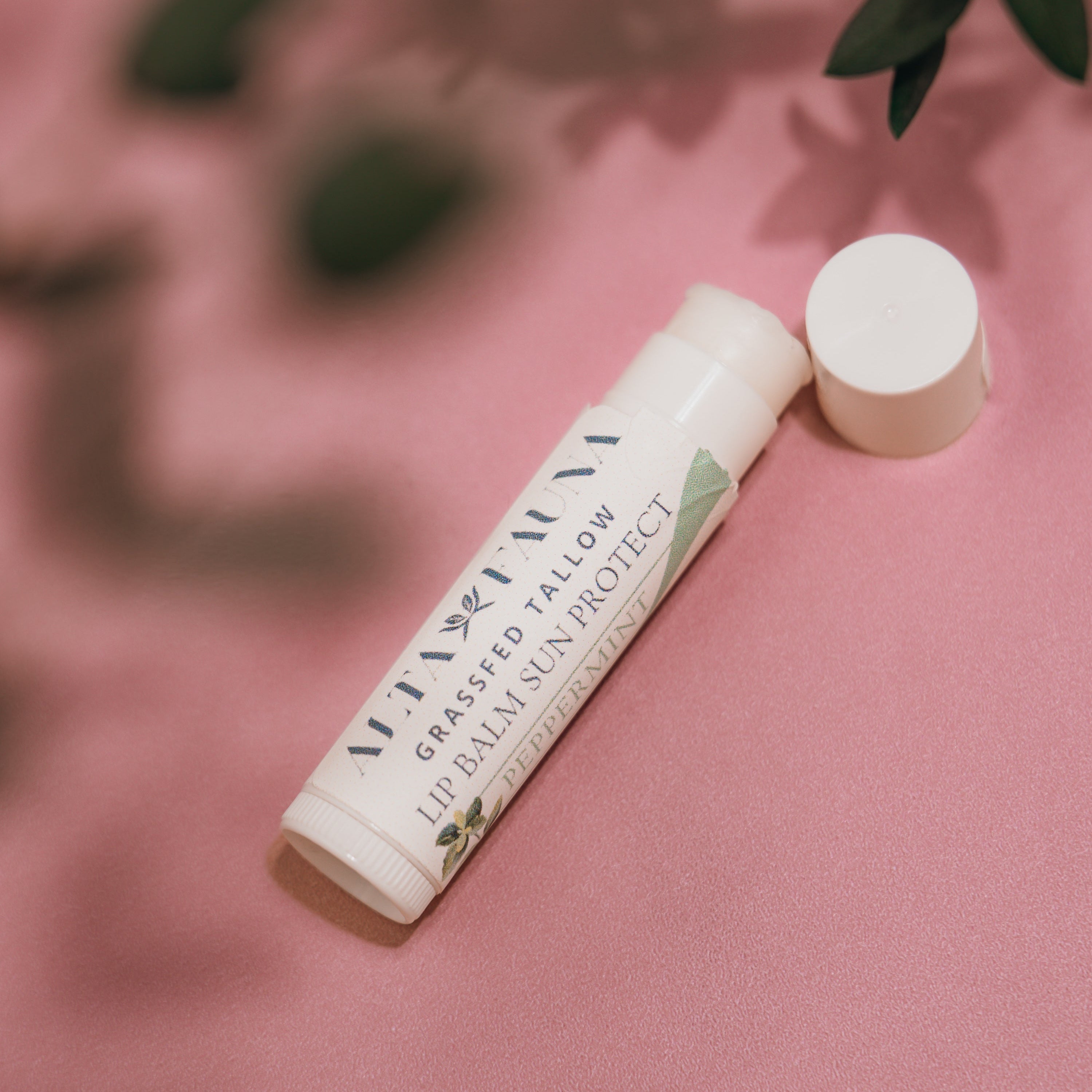Close‑up of Alta Fauna Grassfed Tallow Lip Balm in Peppermint with mineral zinc for protective daily lip care. Close up of tube and lip balm texture on pink background.