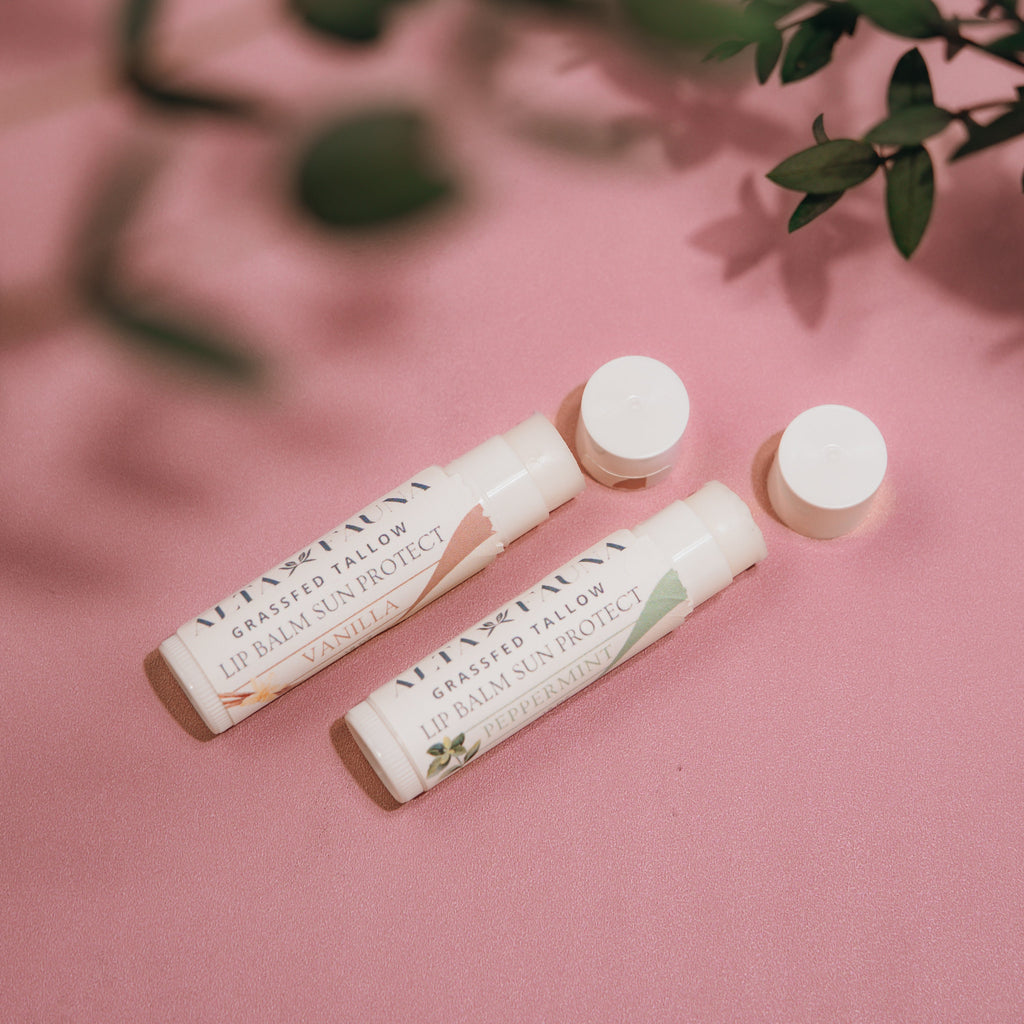 Alta Fauna Vanilla and Peppermint Lip Balms with Sun Protect together with caps off on pink background.  Texture of lip balm shown. 