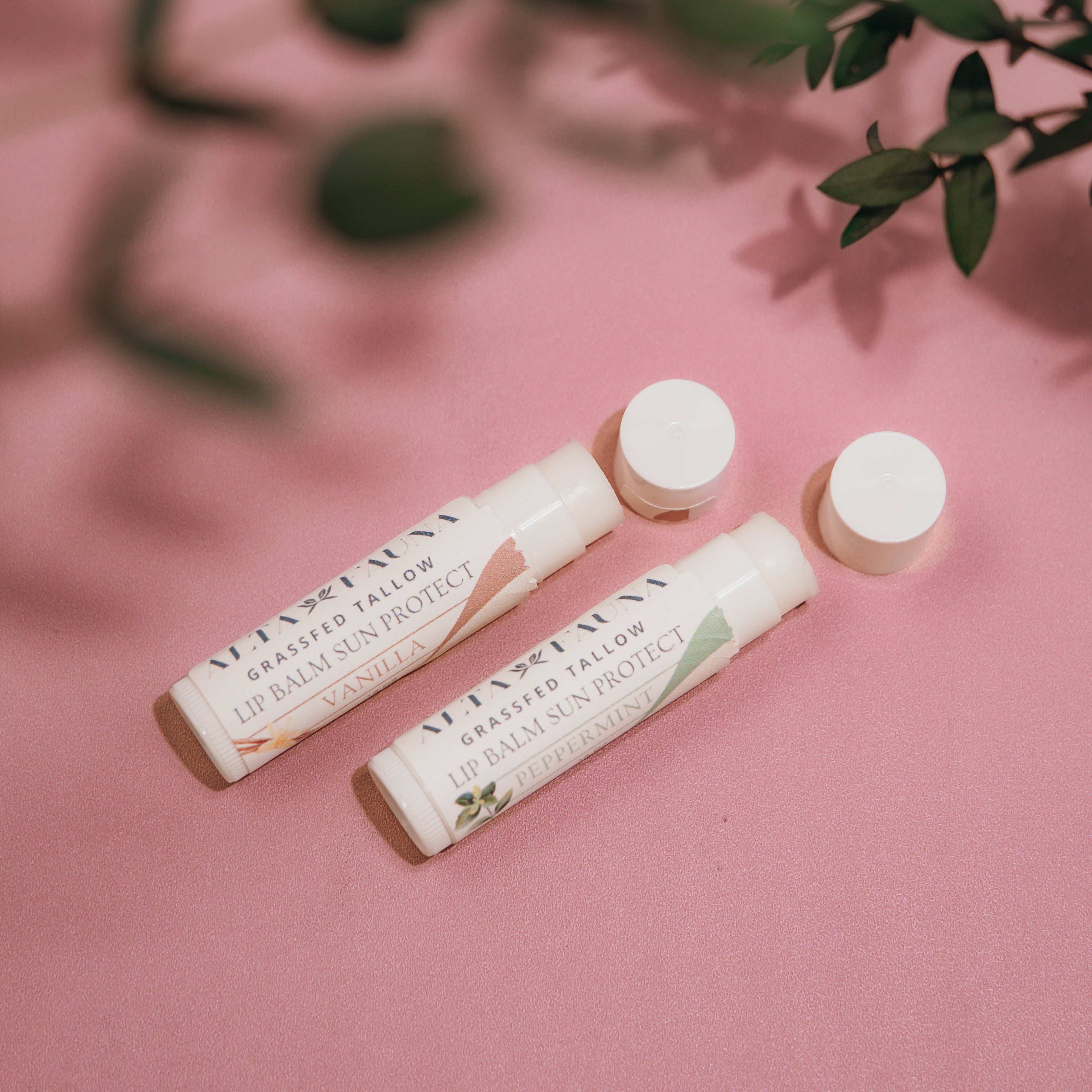 Alta Fauna Vanilla and Peppermint Lip Balms with Sun Protect together with caps off on pink background.  Texture of lip balm shown. 